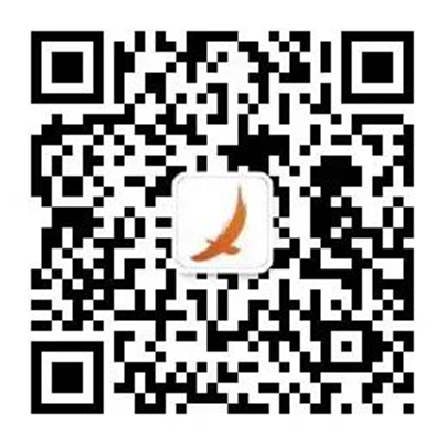 China-europe Freight train and new energy vehicles are on the move!插图5